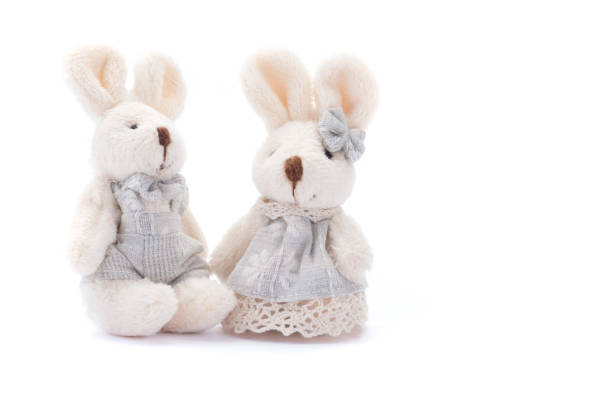 istock couple of easter bunny rabbit on white background. 871893514