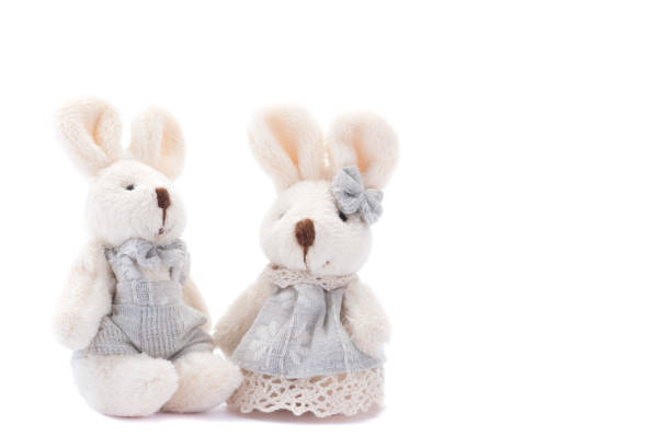 istock couple of easter bunny rabbit on white background. 871893524