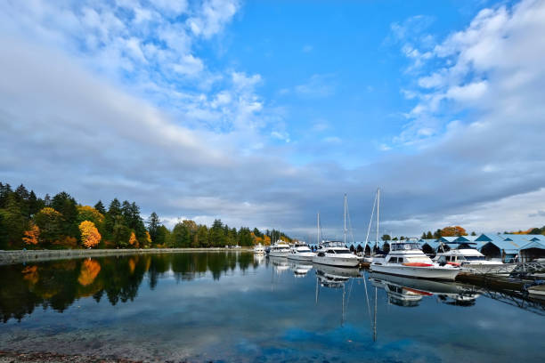istock Vancouver seawall in Stanley park. 871893770