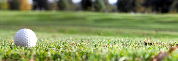 istock a golf ball on the green  lawn 871893904