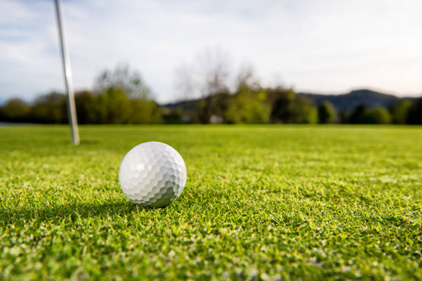 istock a golf ball on the green  lawn 871893906