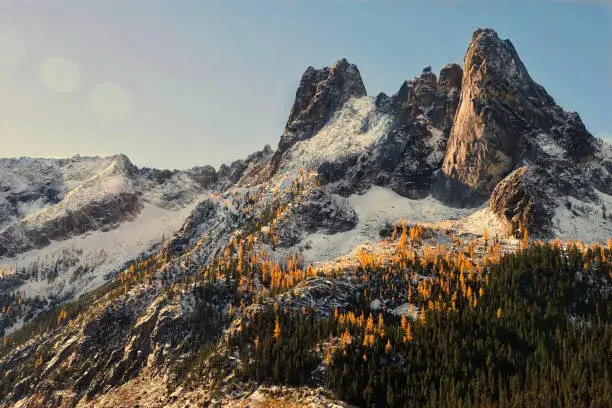 Golden Larches on Early Winter Spires. Winthrop. Washington. United States.