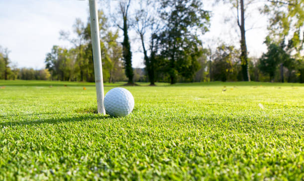 istock a golf ball on the green  lawn 871893962