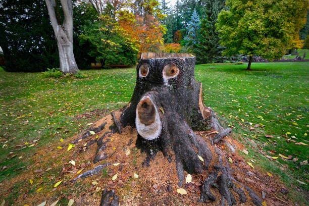 Stanley Park. Vancouver. British Columbia. Canada