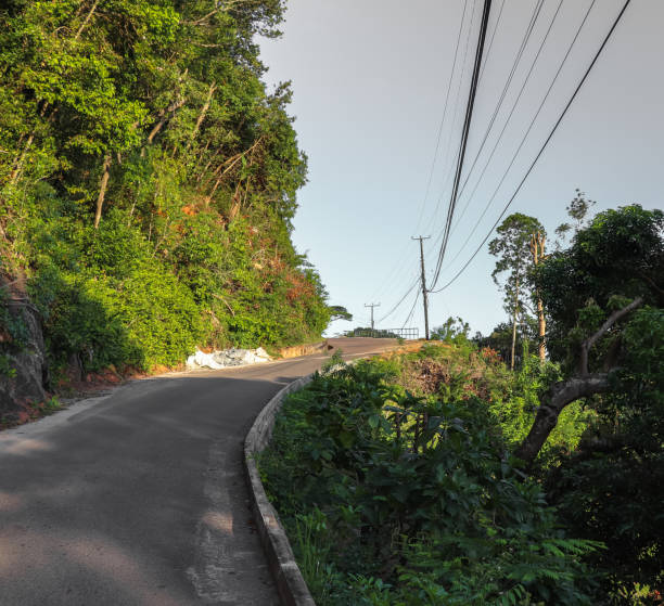 istock Mahe island nature at Seychelles 871901704
