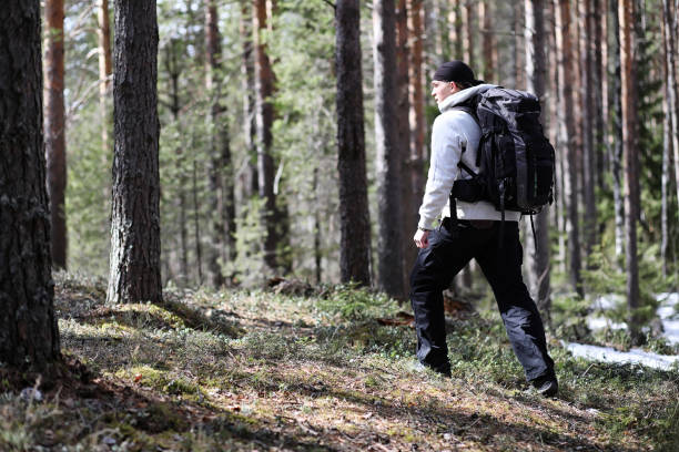 istock A man is a tourist in a pine forest with a backpack. A hiking tr 871909494