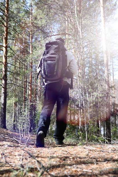 istock A man is a tourist in a pine forest with a backpack. A hiking tr 871911740