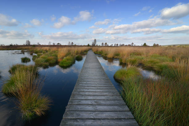 istock High Fens in Belgium 871916856