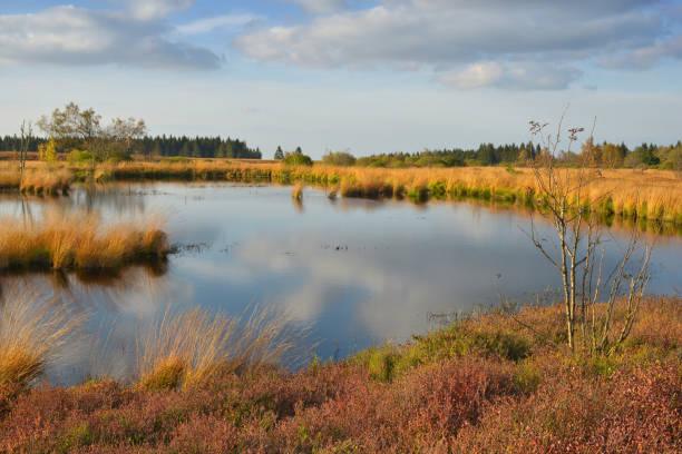 istock High Fens in autumn 871919834