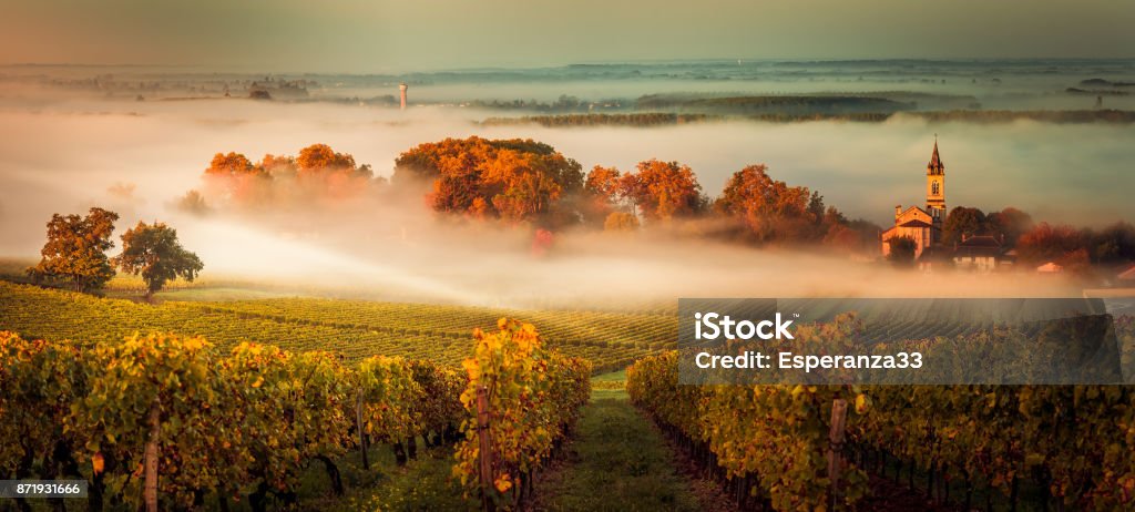 Sunset landscape bordeaux wineyard france Sunset landscape and smog in bordeaux wineyard france, europe Vineyard Stock Photo