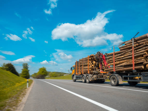 istock The truck is carrying logs 871938566
