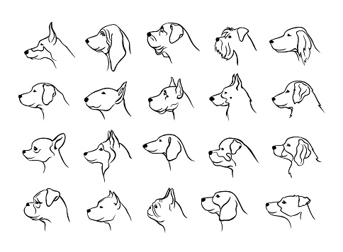 collection of dogs heads profile side view portraits silhouettes in black color