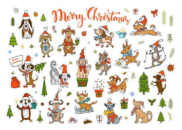 collection of cute funny christmas and happy new year 2018 greeting congratulating dogs collection of cute funny christmas and happy new year 2018 greeting congratulating dogs wearing winter santa claus hats scarfs.pets sledding skiing jumping running having fun enjoying holidays celebrating and giving recieving presents cartoon basset hound walking stock illustrations