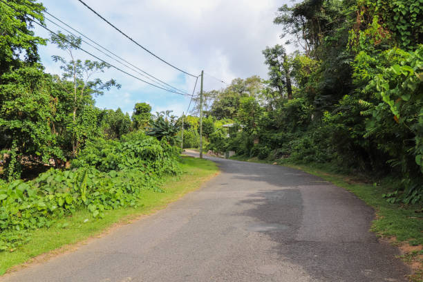 istock Mahe island nature at Seychelles 871947270