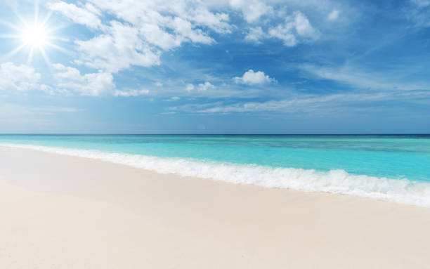 istock Tropical paradise beach in the sun 871950142