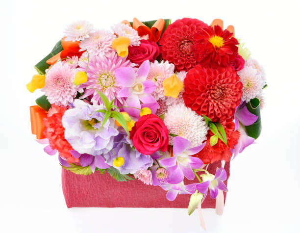istock Flower arrangement in a red box on a white background 871953322