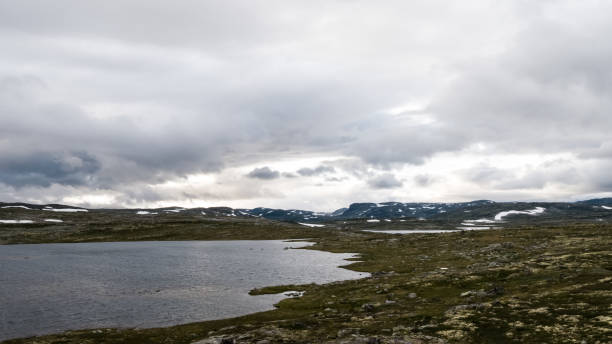 istock The Hardangervidda Mountain Area in Norway 871970936