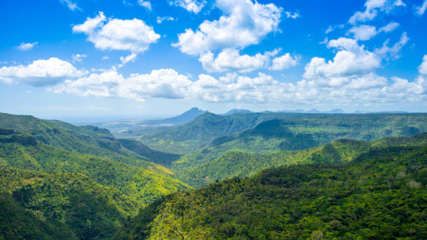 istock Black River Gorges National park 871997510