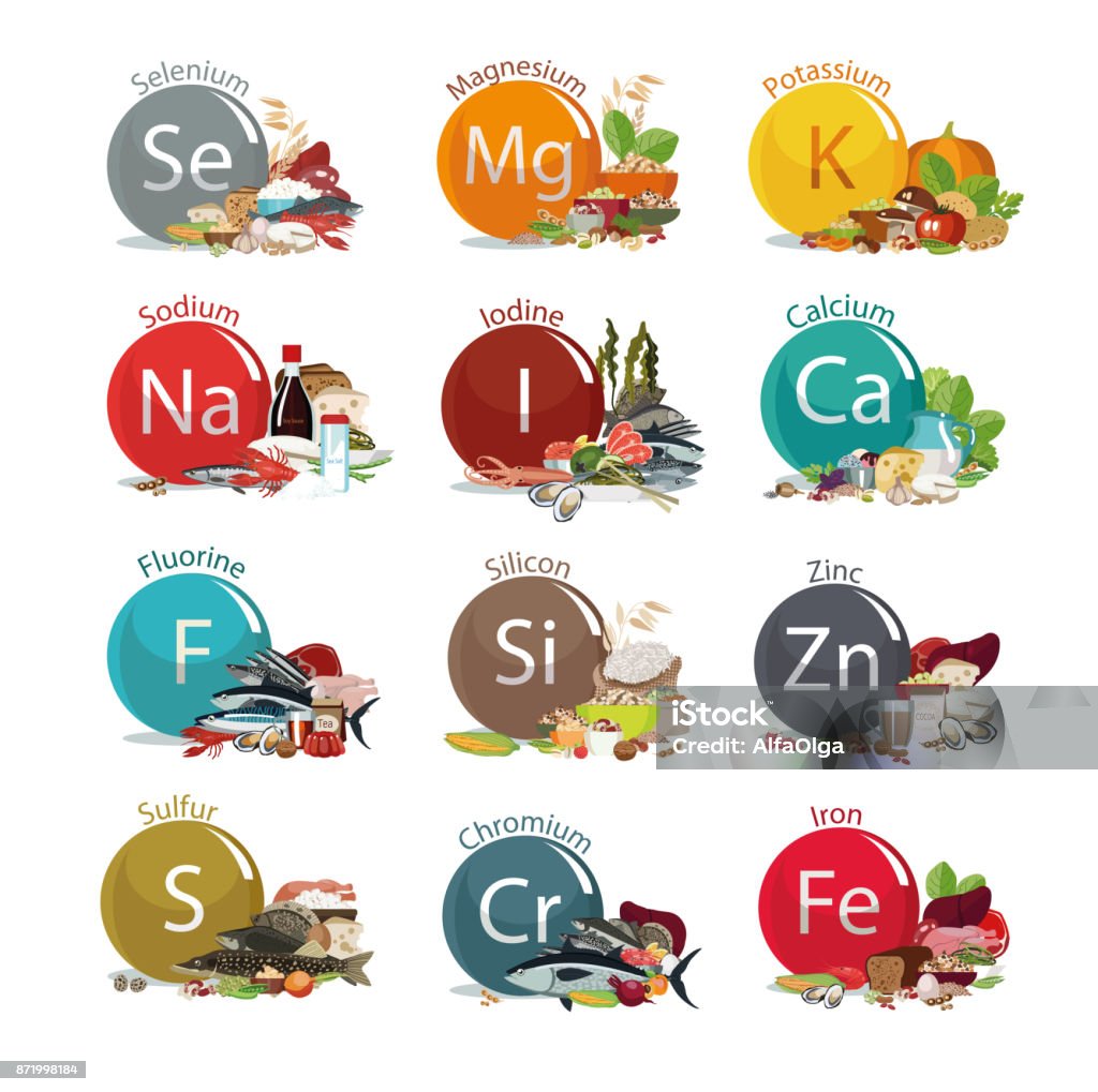 12 microelements for human health. 12 microelements for human health. Food sources. Food with the maximum content of basic minerals. White background Mineral stock vector