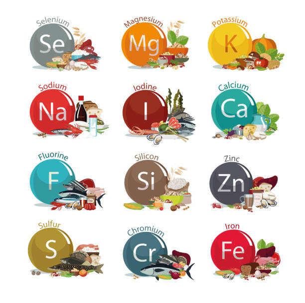 12 microelements for human health. 12 microelements for human health. Food sources. Food with the maximum content of basic minerals. White background mineral stock illustrations