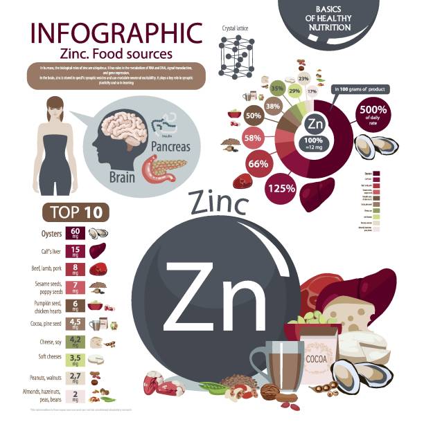 Zinc. Infographics. Zinc. Food sources and influence on human health. zinc stock illustrations