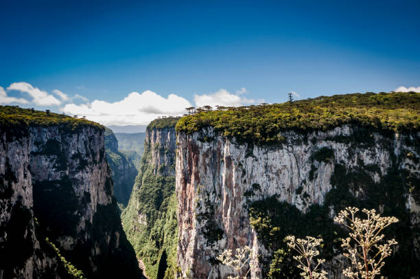 セラ ジェラール山脈 (cânion か itaimbezinho) - 壮大な景観 ストックフォトと画像