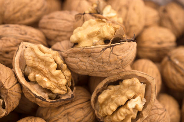 walnuts background - noz imagens e fotografias de stock