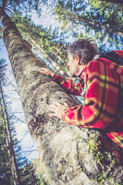 istock Senior Mountaineer in Alps 872017474