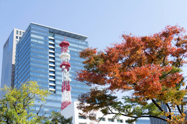 istock Tokyo central city in autumn 872024314