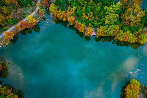 Fall comes to Austin Texas at Red Bud Isle , straight down drone view , pathway leading into the woods and colorful autumn trees. Surround yourself with Fall Colors an Edge of Reds and Yellows around Town Lake