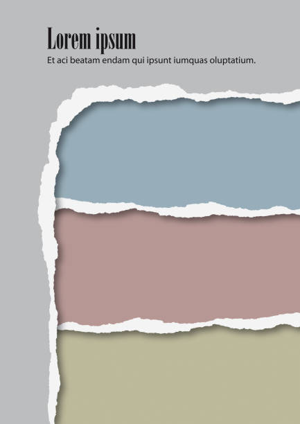 Torn Paper Vector Illustration of a beautiful and simple torn Paper Design colorful page borders stock illustrations