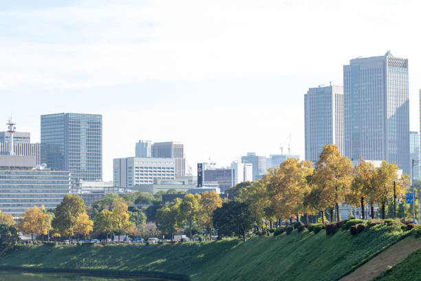 istock Tokyo central city in autumn 872024880
