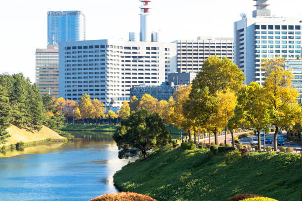 istock Tokyo central city in autumn 872025394