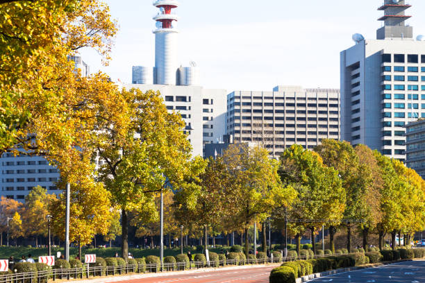 Tokyo central city in autumn stock photo