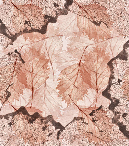 istock light and dark brown leaves background 872026796