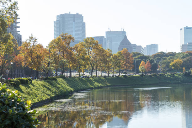 istock Tokyo central city in autumn 872027570