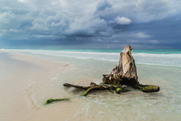 大西洋上空的熱帶風暴。颶風入加勒比海, 墨西哥海灣92/200 字元 * 關鍵字: - hurricane florida 個照片及圖片檔