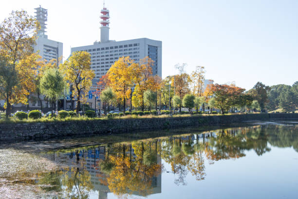 istock Tokyo central city in autumn 872028062