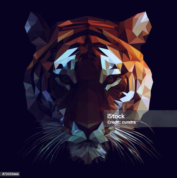Low Poly Tiger Stock Illustration - Download Image Now - Tiger, Animal, Low-Poly-Modelling