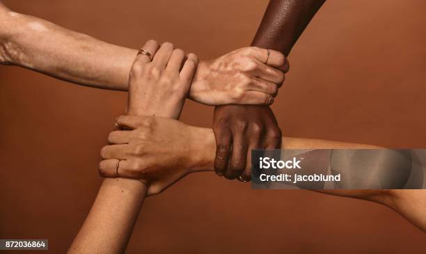 Unity In Diversity Stock Photo - Download Image Now - Multiracial Group, Holding Hands, Women