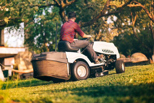 istock Professional farmer worker using lawn mower for cutting grass in garden 872037980
