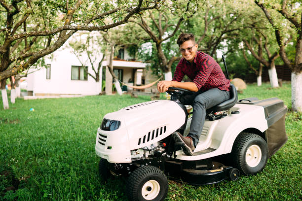 istock Gardening details, grass trimming in progress. Male worker using lawnmower 872037986