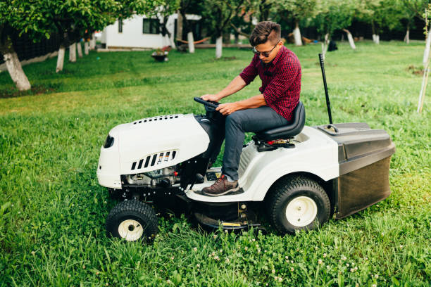 istock Gardner trimming and landscaping garden using a ride on lawn mower 872037990