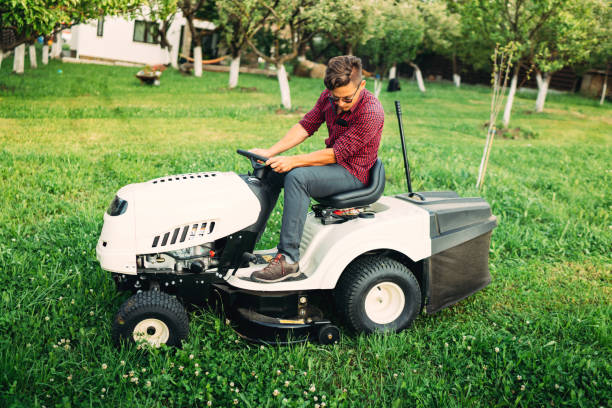 istock Landscaping details - worker mowing lawn with professional tools in garden 872038022