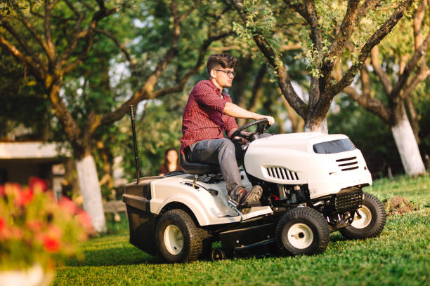 istock Portrait of professional gardener using lawn mower and cutting grass 872038074