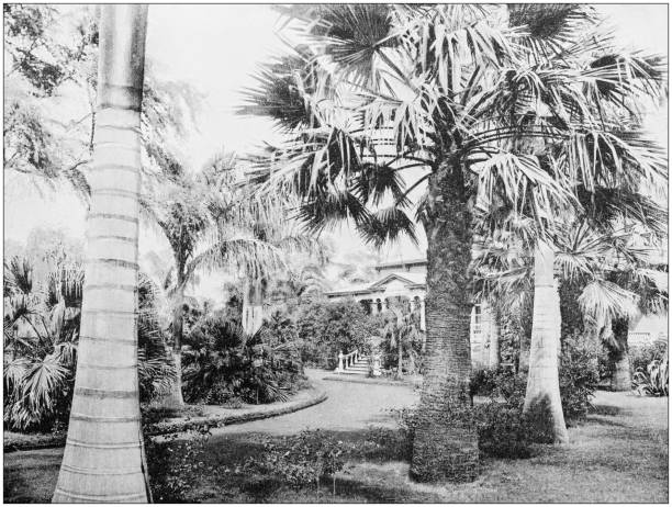 istock Antique photograph of World's famous sites: Honolulu 872042058