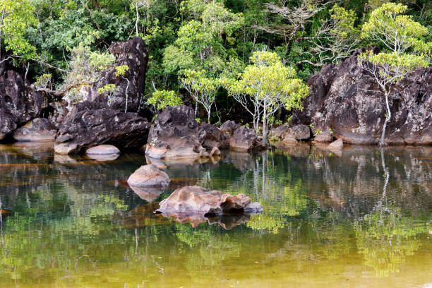 istock Masoala National Park landscape, Madagascar 872048220