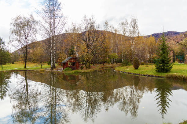 istock autumn landscape near the water 872049698