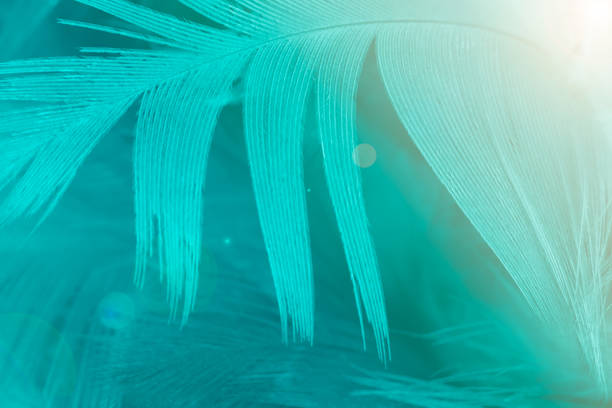 istock Green turquoise and blue color trends feather texture background,Light orange 872050984