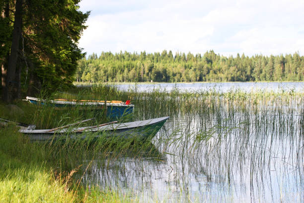 istock Lake in Sweden 872054264